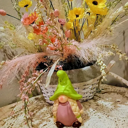 홈스테이 Goscinne Janina Bochenczak